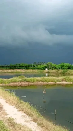 Imagem Fazenda para Venda em Pendências, RN 404 cidade do Rio Grande do Norte.