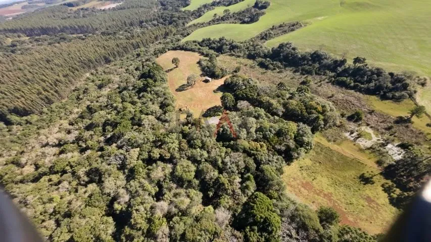Imagem Sítio à venda com excelentes 24,62ha de área em Guarpuava PR