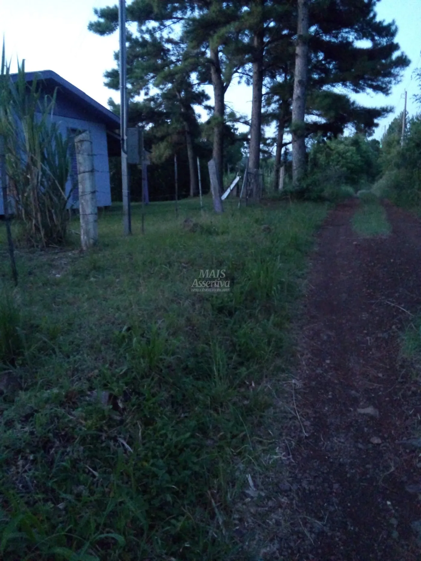 Imagem Chácara para venda em Rolante (8.000m²)