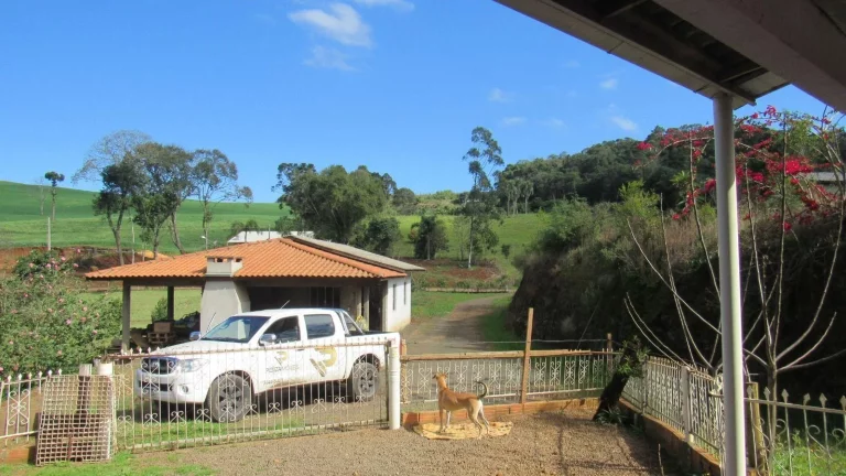 Imagem Casa para Venda em Concórdia, Santa Rita, 3 dormitórios, 2 banheiros