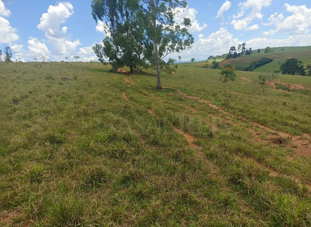 Imagem Sítio 50 m² à venda em Centro, Cruzília