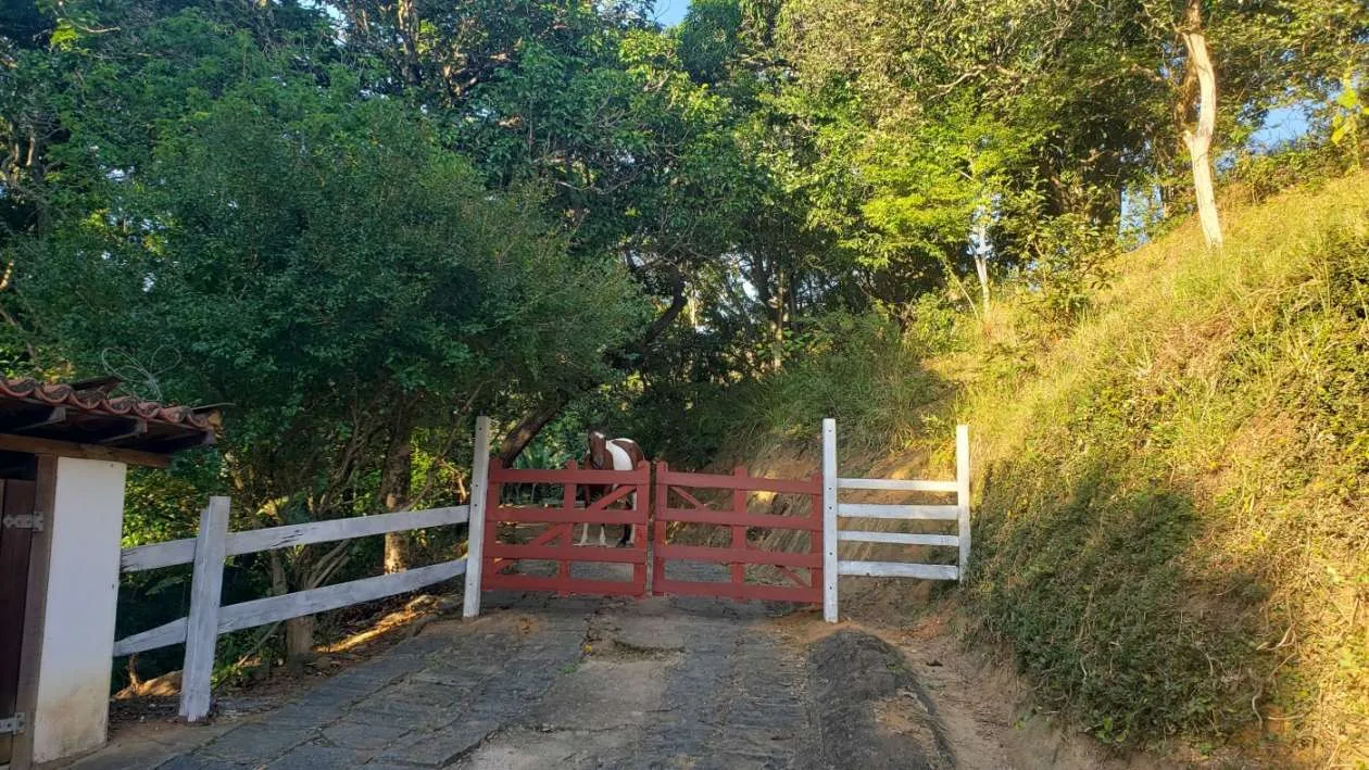 Imagem Sítio para Venda em Três Rios / RJ no bairro Bemposta