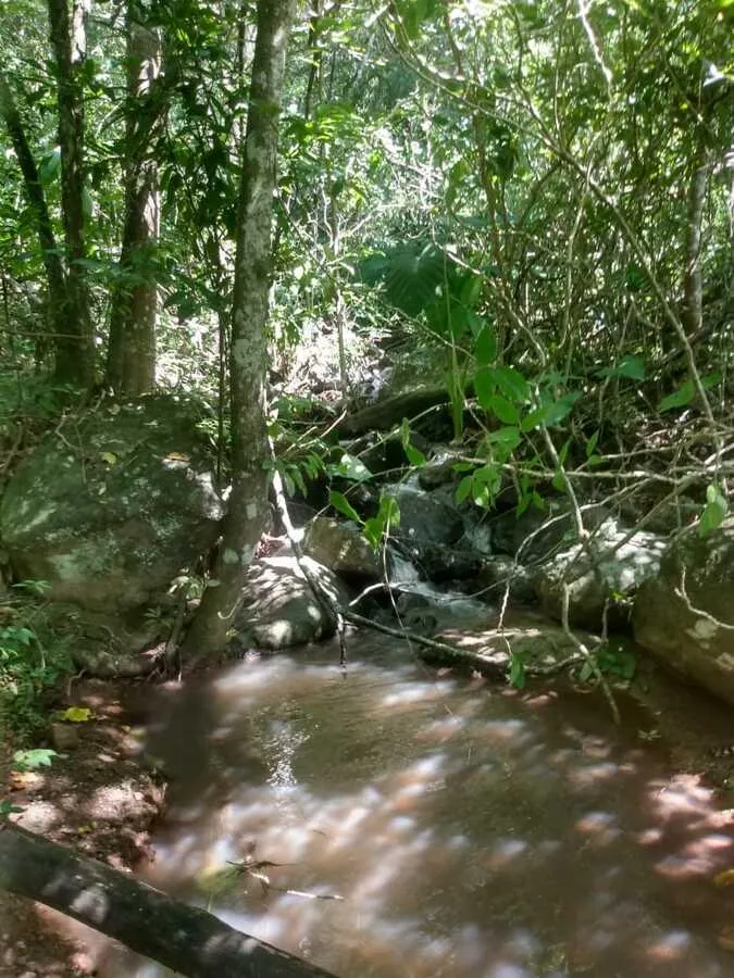Imagem Chácara para venda, bairro Voluntário Baixo em Igrejinha/RS.