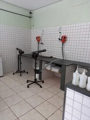 Imagem PET SHOP -VILA POMPEIA-SÃO PAULO