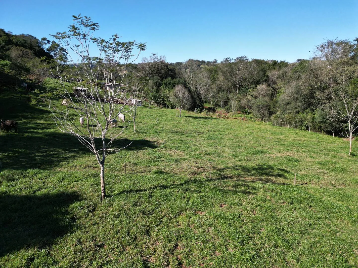 Imagem Chácara à venda em Lindoeste, 9 Km do Centro - 150m² - Piscina, Rio, Lago para pesca