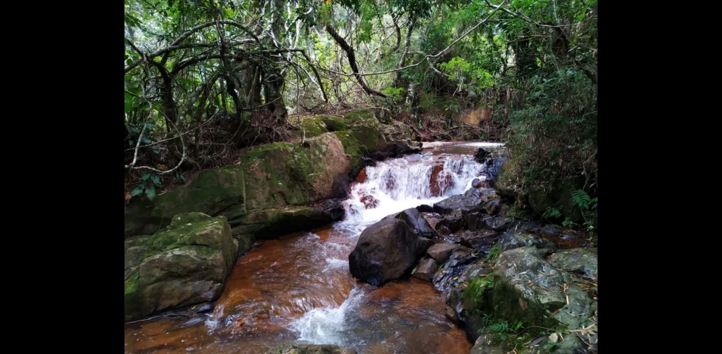 Imagem Chácara à venda 3 Quartos, 1 Suite, 488000M², Zona Rural, Monteiro Lobato - SP