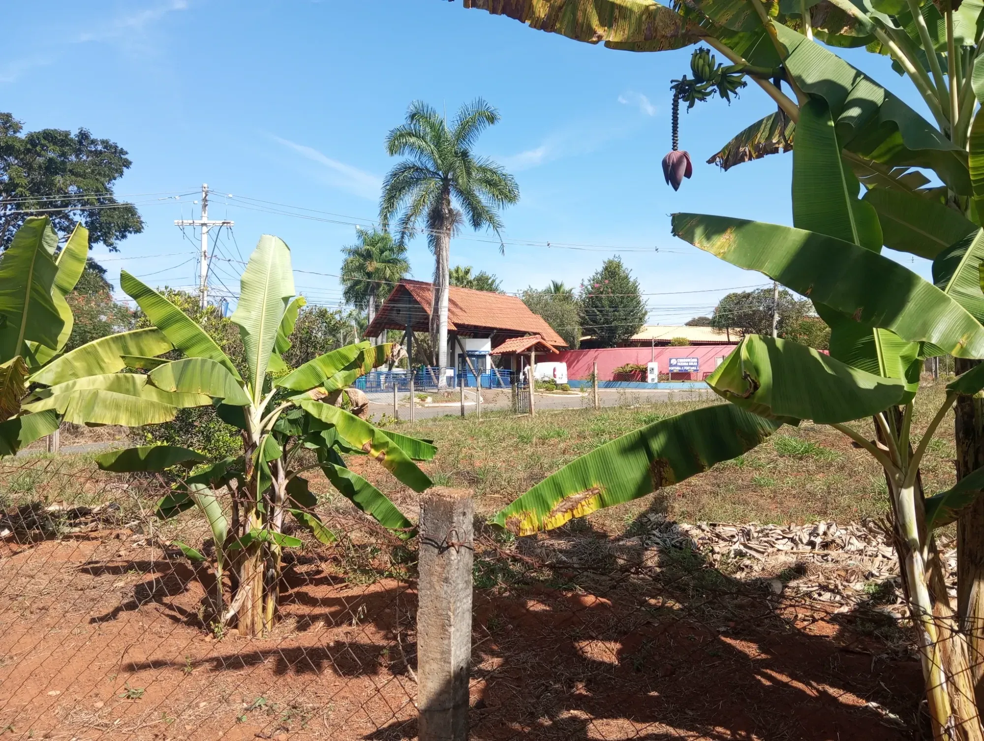 Imagem Chácara com 1 Quarto à Venda, 1040 metros em  - Igarapé / MG