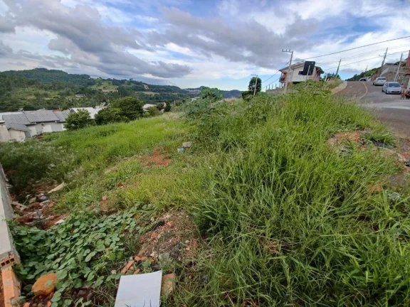Imagem Terreno para Venda em Concórdia, Sintrial