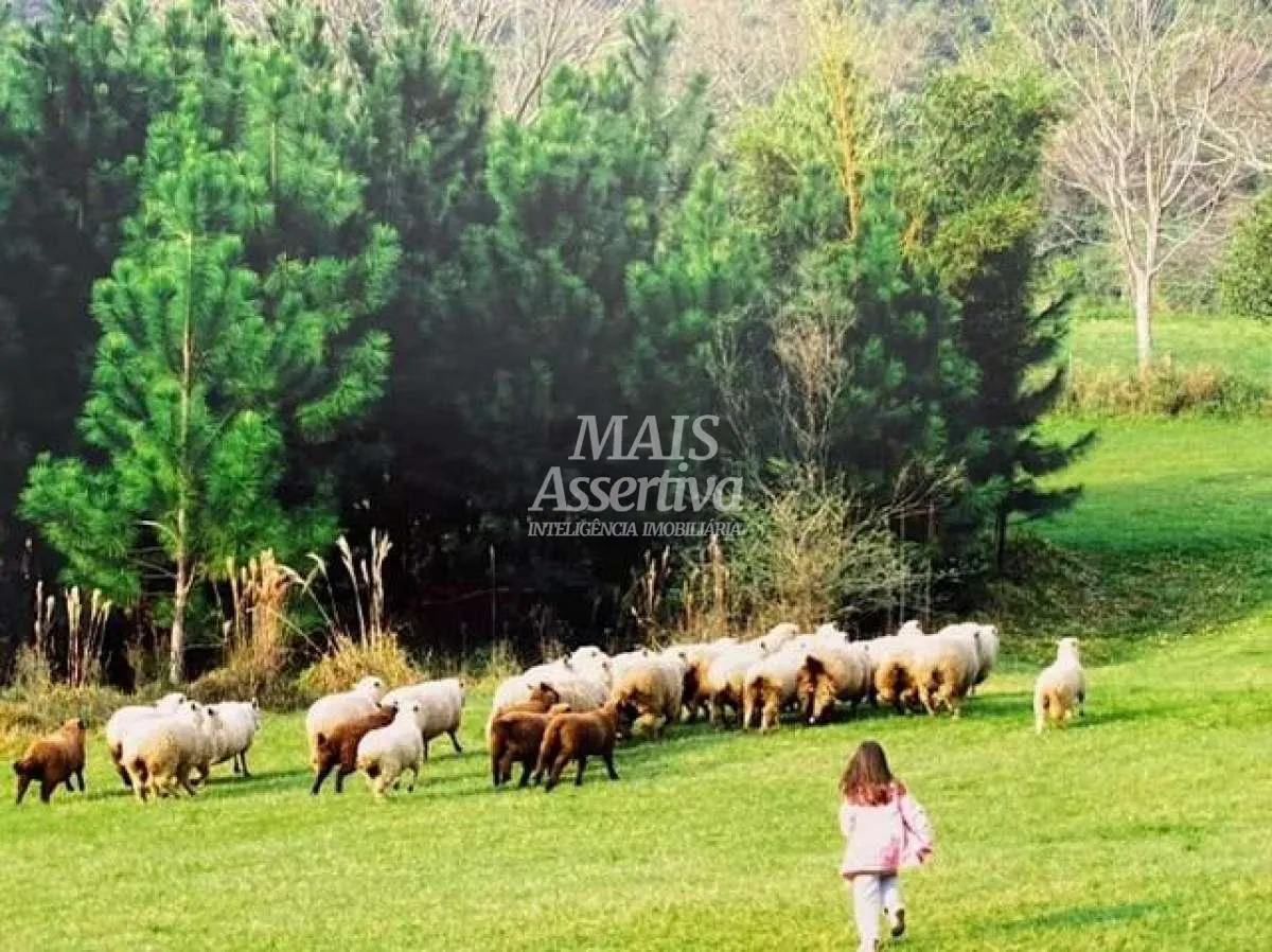 Imagem Terreno para Venda em Novo Hamburgo / RS no bairro Lomba Grande