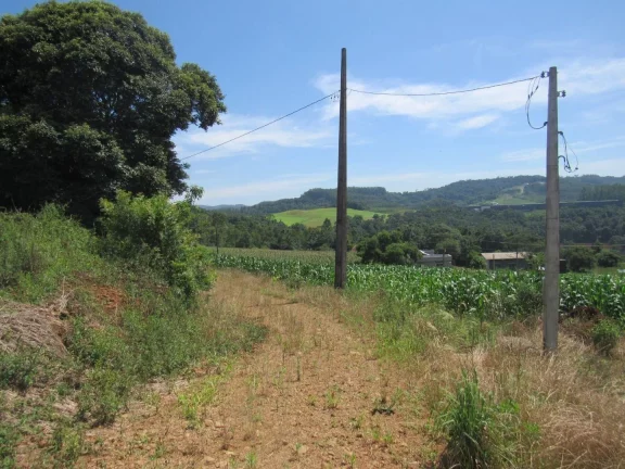 Imagem Área Agrícola para Venda em Concórdia, Rural