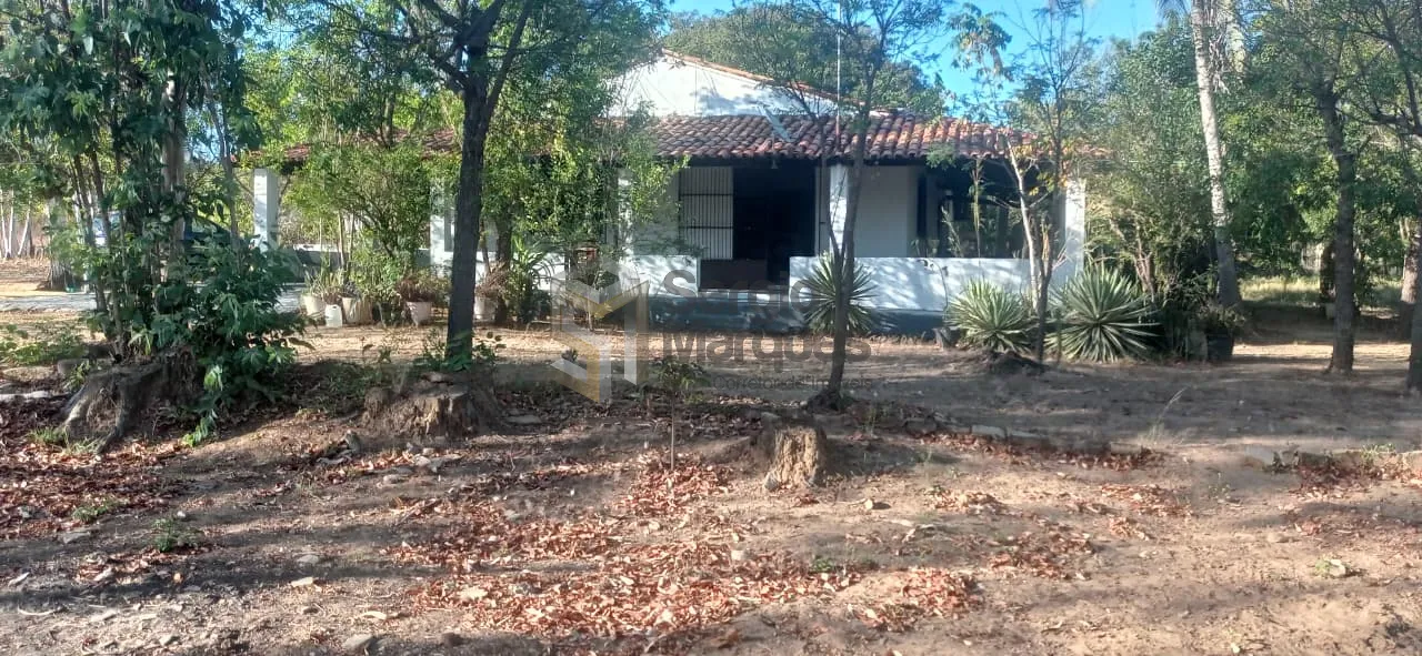 Imagem Fazenda à venda - 700000m² - Floriano-PI