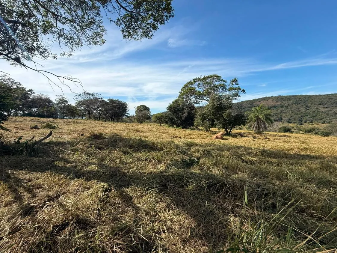 Imagem FAZENDA À VENDA EM CARMÓPOLIS DE MINAS /Área total: 315 hectares