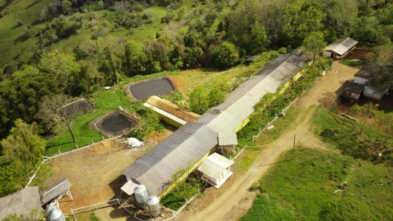 Imagem Granja para Venda em Concórdia, Rural