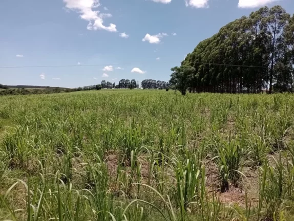 Imagem Pratania/SP, Área Rural, Fazenda 25 alqueires