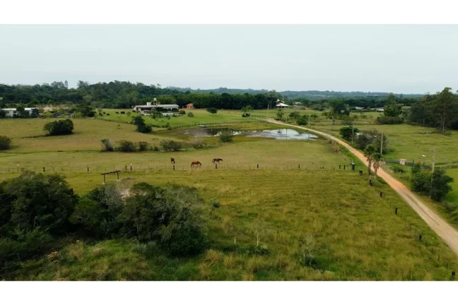 Imagem SSJEG 790 612531061-6 - Fazenda à venda no bairro São José - Viamão/RS