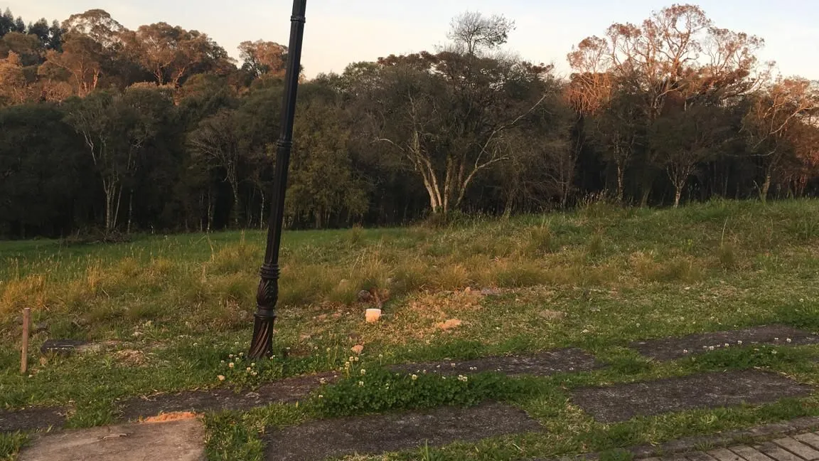 Foto do imóvel Terreno à venda em Caxias do Sul, Sagrada Família, 1038.3m2