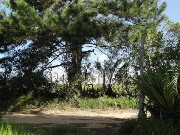 Imagem Área de 4 Hectares, Frente Estrada da Ambev, Lagoa, Águas Claras/ Viamão