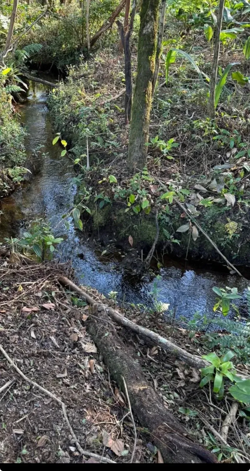 Imagem Terreno à Venda, 1000 metros em Verava - Ibiúna