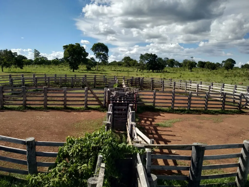 Imagem Fazenda de Rio Negro Mato Grosso do Sul-MS, Farms for sale in Brazil, farms in Brazil, Brazil farms