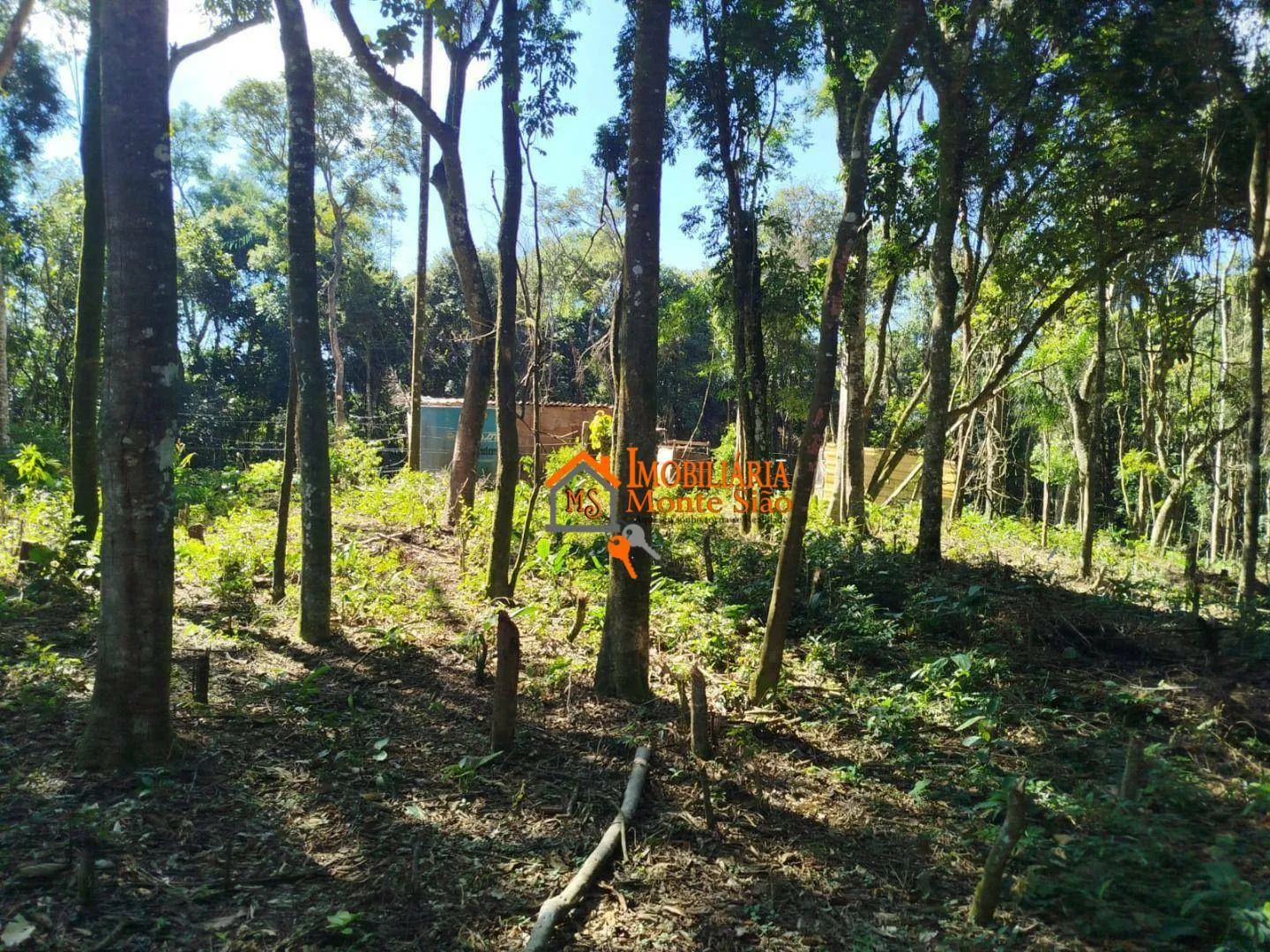 Imagem Terreno à venda, 3.068m² por R$ 212.000 - Parque Santos Dumont - Guarulhos/SP