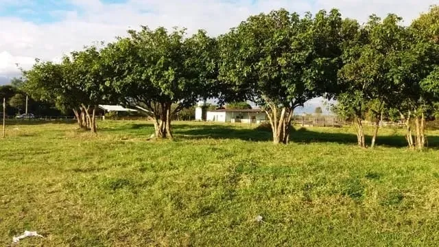 Imagem Chácara à venda 94372.59M², Aterrado, Tremembé - SP