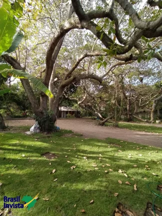 Imagem ÁREA EM ARRAIAL D'AJUDA