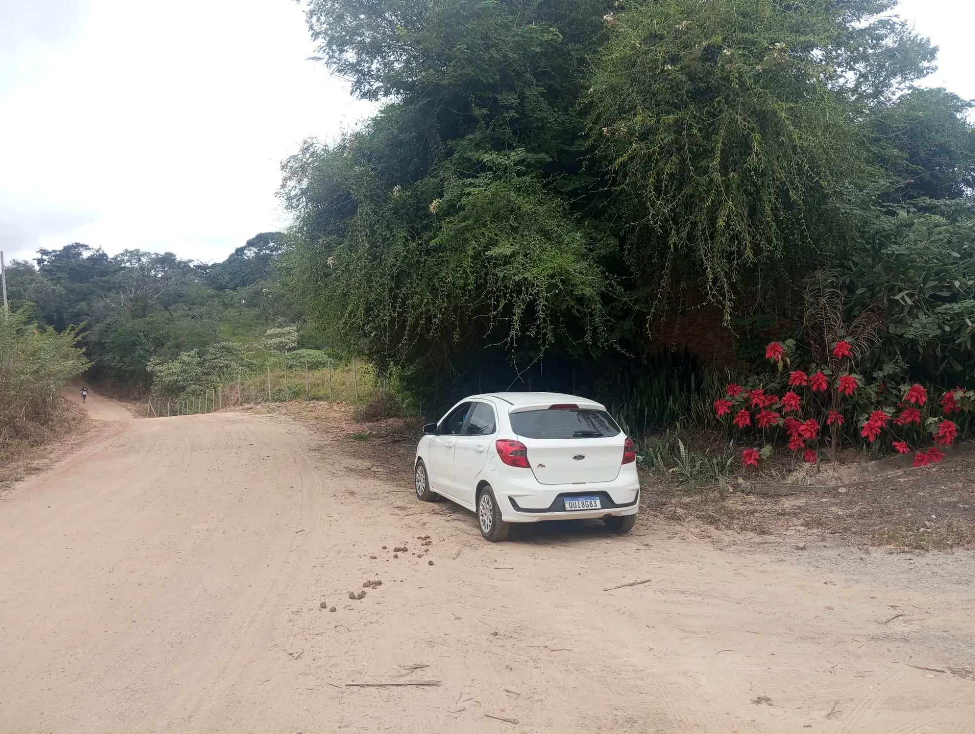 Imagem Sítio à Venda, 20000 metros em Nova União - Nova União
