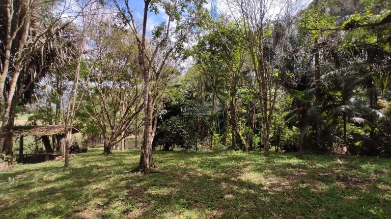 Imagem Propriedade ideal para fazer Sítio para Aluguel. Pois ja tem prontos 8 área com terraplanagem, pronto para construir.