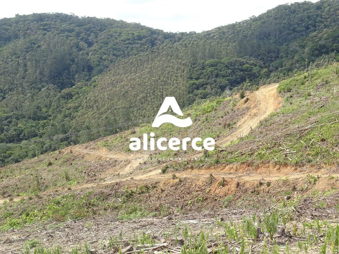 Imagem Área à venda com , 188.382m² em Área Rural de Biguaçu Biguaçu
