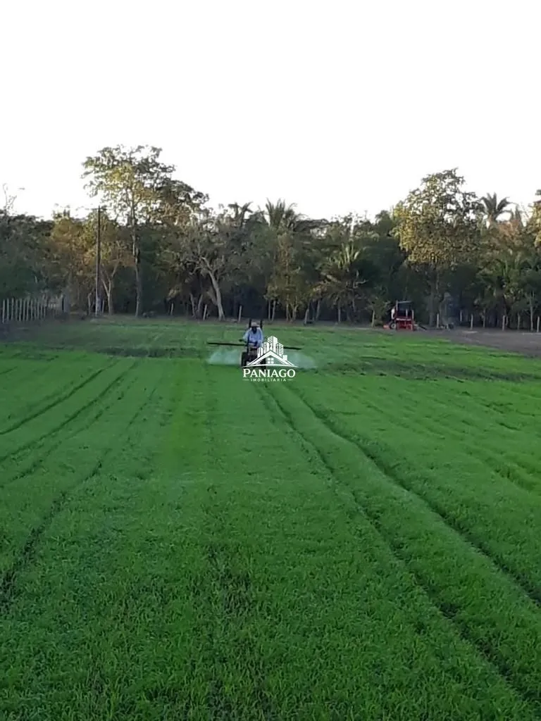 Imagem Sítio de 10,63 Hectares à Venda em Leverger/MT | Estrutura para Pecuária