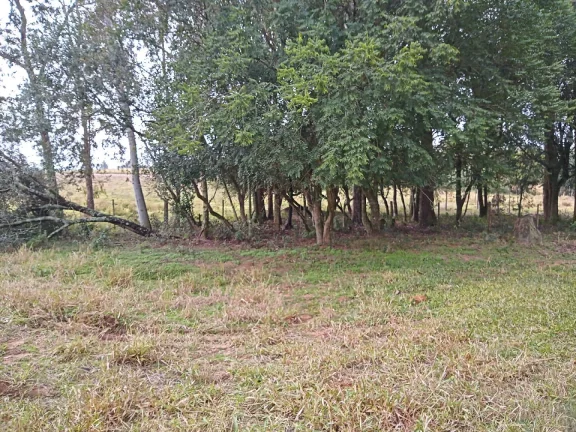 Imagem Lindos Terrenos residenciais, Águas Claras / Viamão