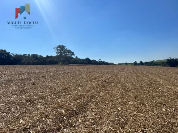 Imagem Fazenda região de Avaré SP