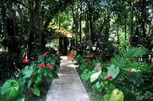 Imagem Chácara com 3 dormitórios à venda, 5787 m² por R$ 1.800.000,00 - Jardim Tupã - São Bernardo do Campo/SP