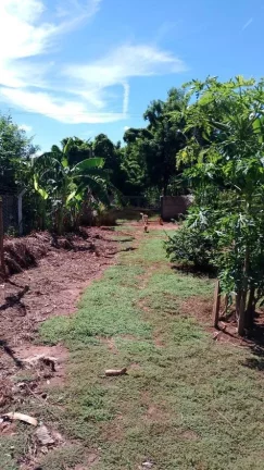 Imagem CHÁCARA A VENDA EM RIO PRETO