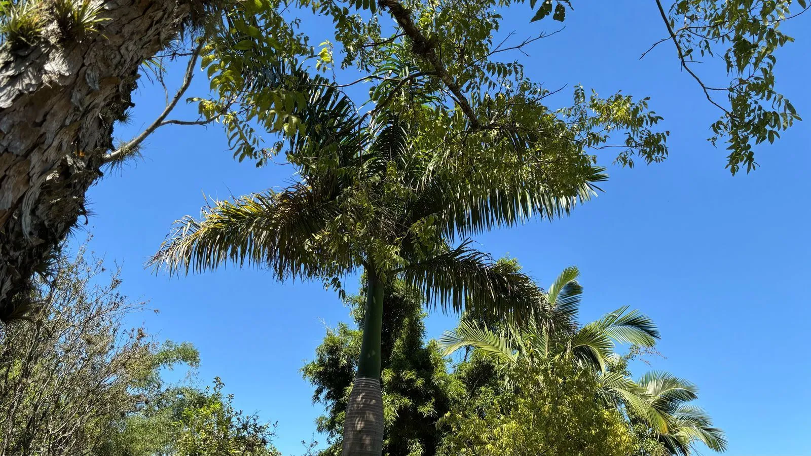 Imagem Sítio em Chapéu do Sol