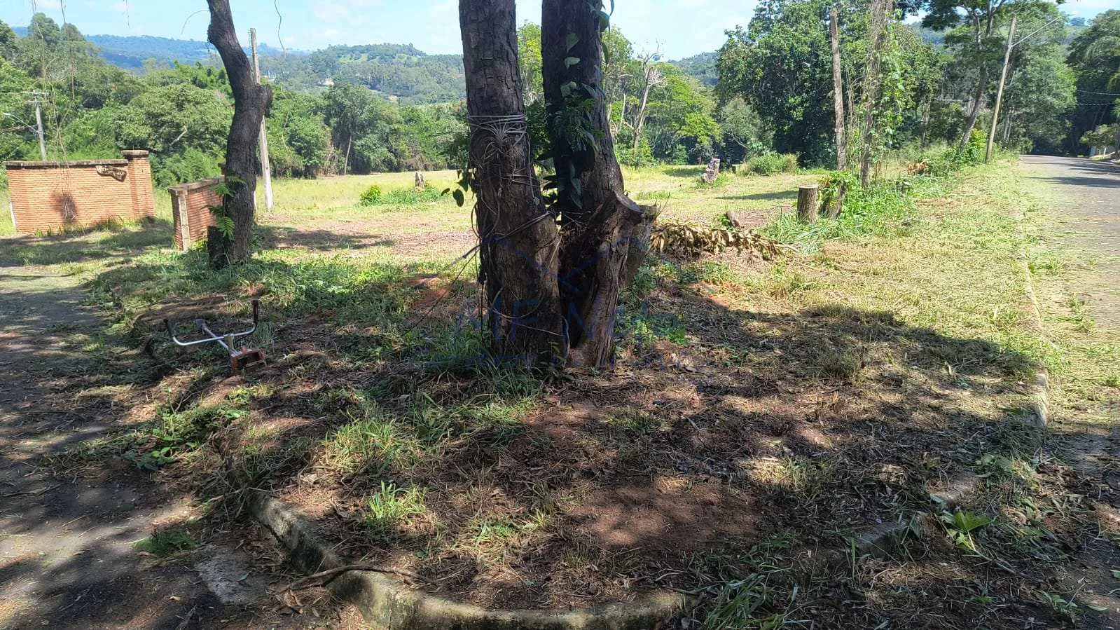 Imagem Terreno Padrão