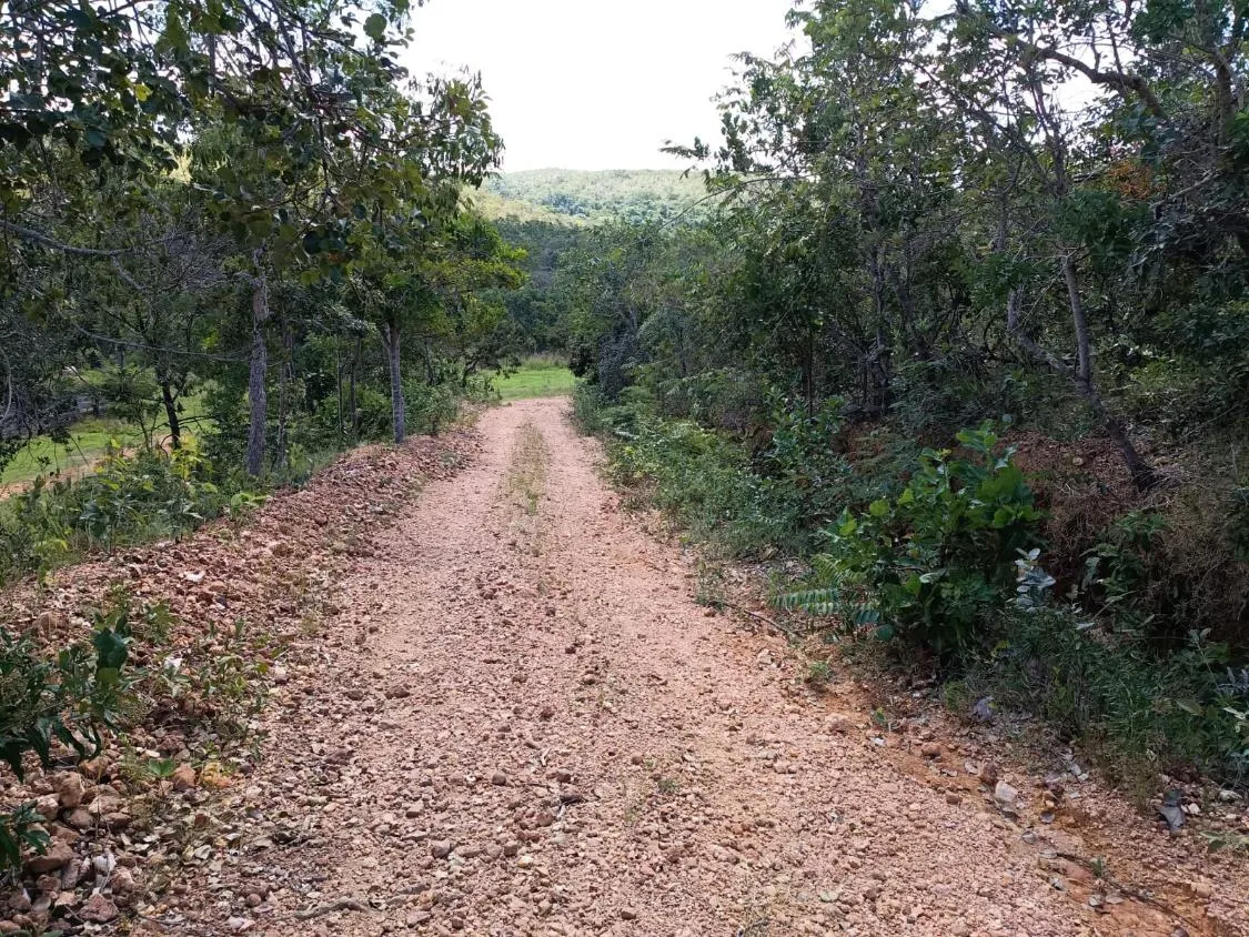 Imagem FAZENDA À VENDA EM SANTANA DO PIRAPAMA ? MG , com 338 hectares de terra