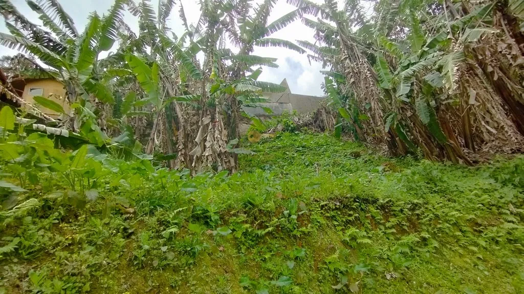 Imagem Terreno para Venda em Teresópolis / RJ no bairro Parque do Ingá