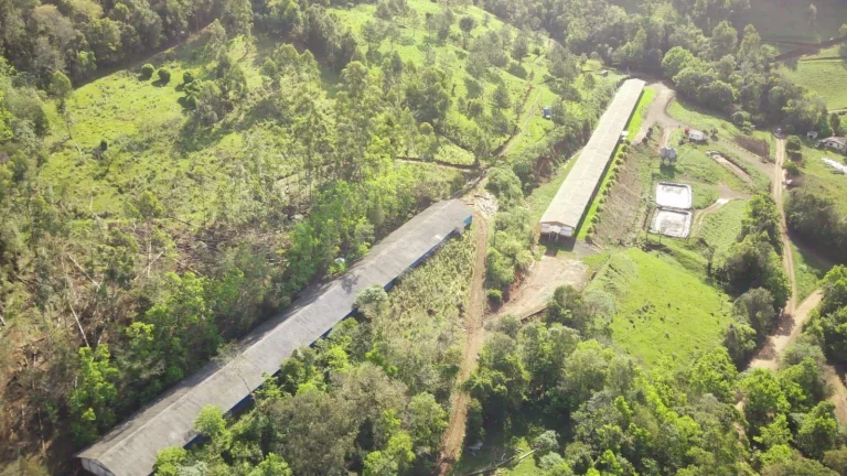 Imagem Granja para Venda em Arabuta, Rural