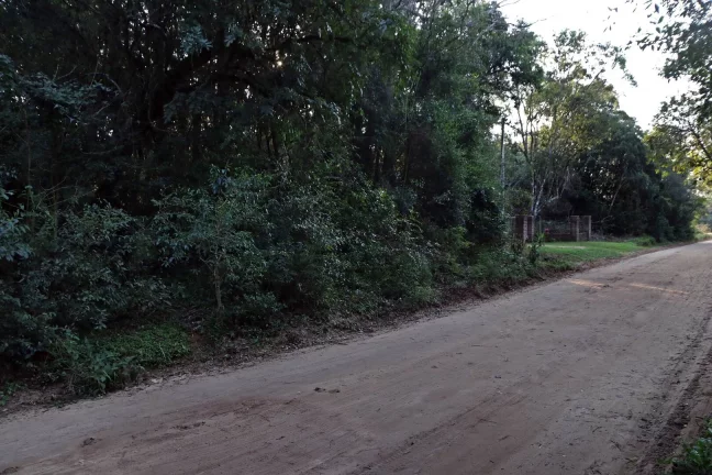 Imagem Lindos terrenos (2), belíssima mata nativa, privativo, Águas Claras