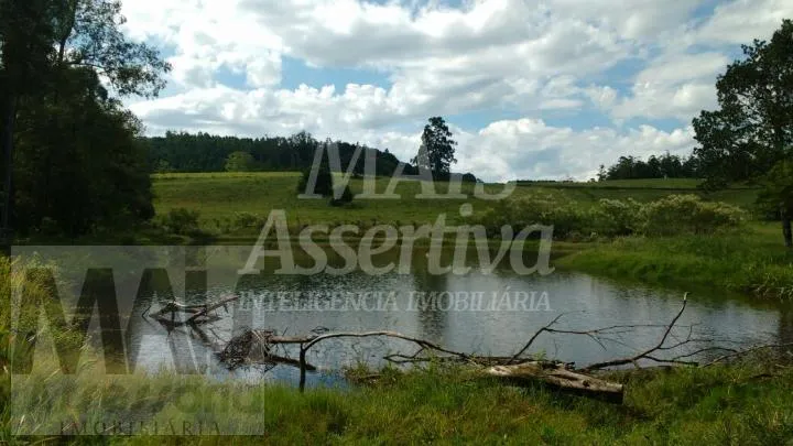 Imagem Excelente Chácara com 87 hectares para venda em Capela de Santana