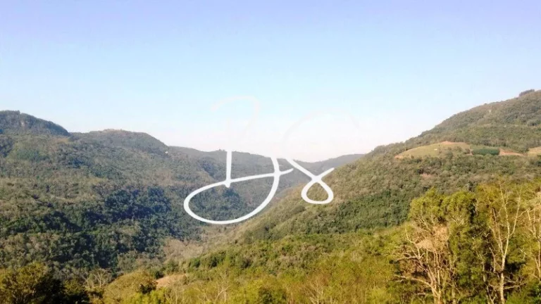 Imagem SITIO RURAL em NOVA PETRÓPOLIS - RS, Linha Pirajá Baixa