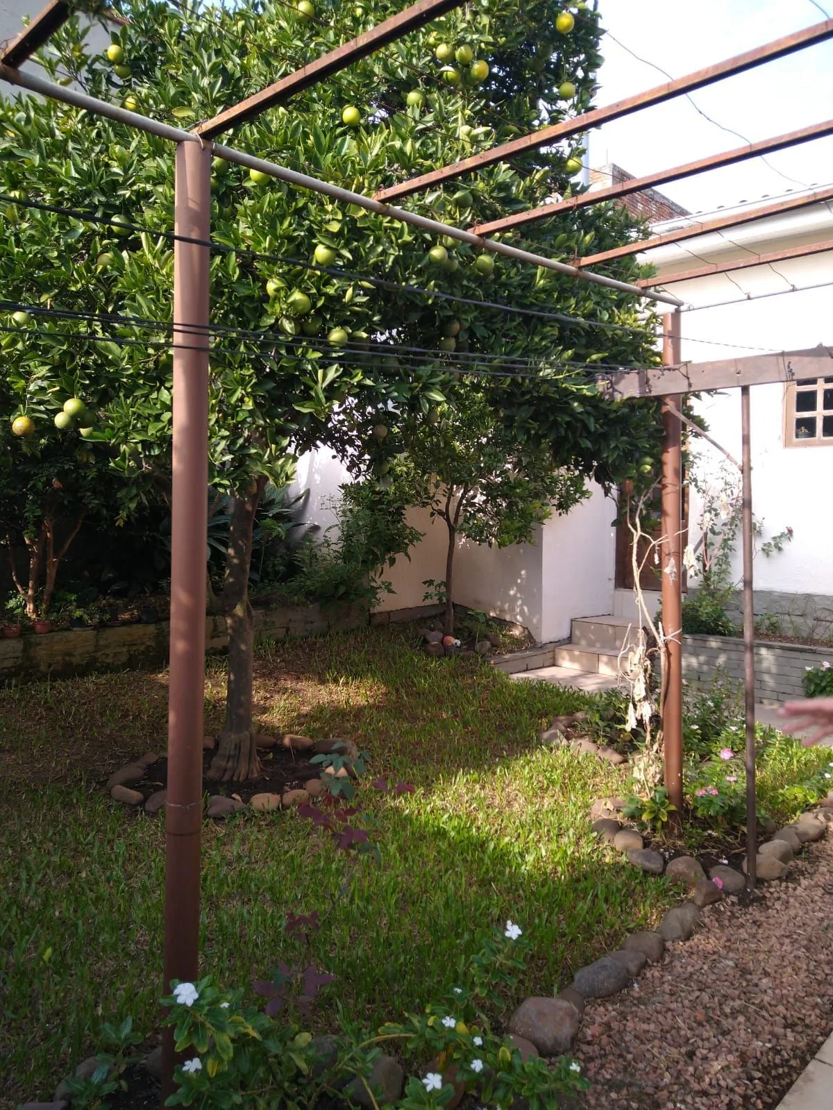 Imagem Casa em Santa Tereza