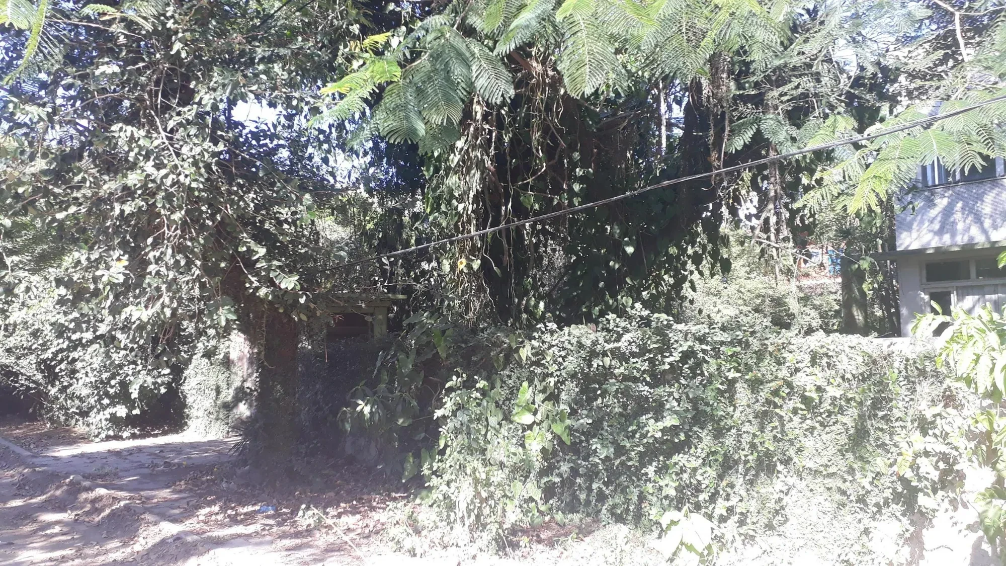 Imagem Terreno à Venda, 1196 metros em Itaipu - Niterói