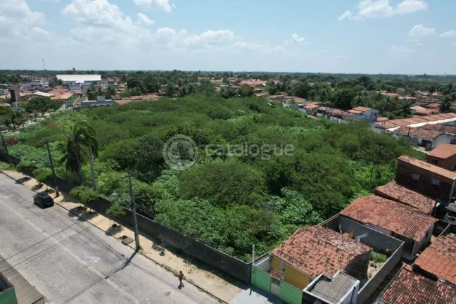 Imagem Excelente Terreno à Venda com 11.118m² em Passagem de Areia - Parnamirim/RN