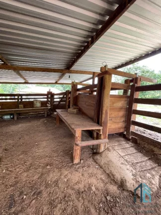 Imagem Fazenda a venda 82 alqueires em Campinacu -Goiania - GO