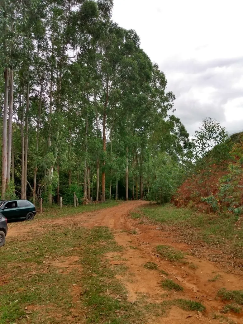 Imagem Chácara à venda 2 Quartos, 135000M², Zona Rural, Piquete - SP