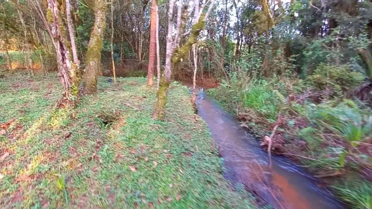 Imagem Chácara para Venda em Tijucas do Sul, Ambrósio