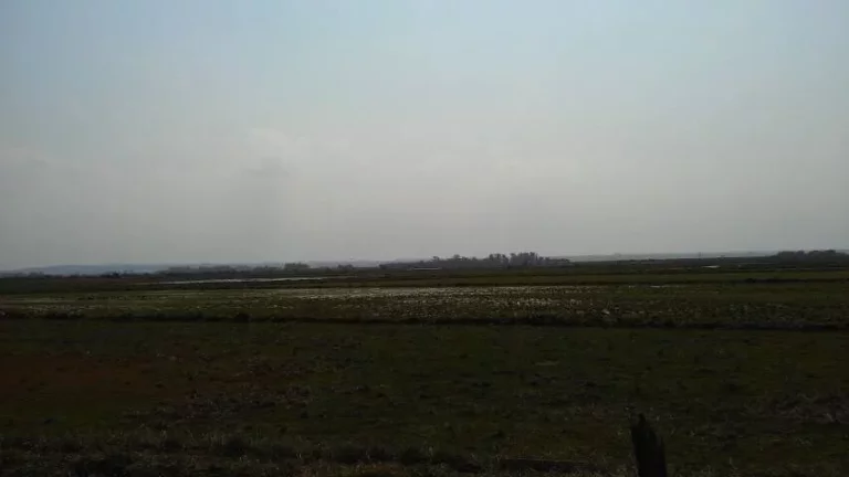 Imagem Fazenda à Venda – 194 Hectares – Viamão/RS