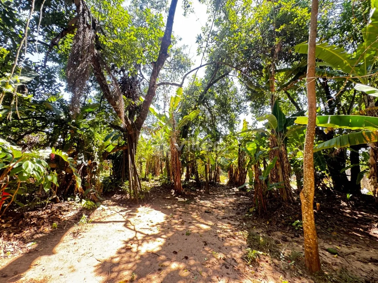 Imagem A área total disponível é de aproximadamente 4.000 m², com possibilidade de desmembramento em lo...